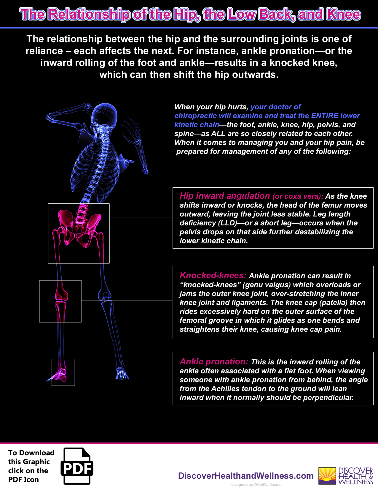ken caryl-colorado-chiropractic-hip-low back-knee-infographic